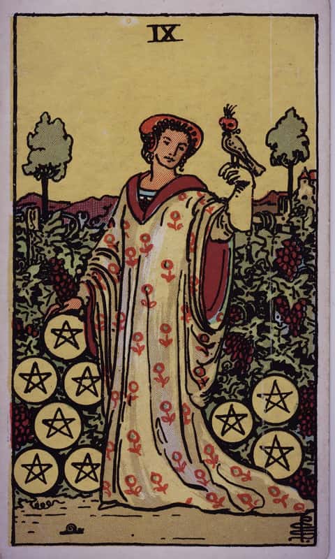 Nine of Pentacles tarot card, Rider Waite Smith deck