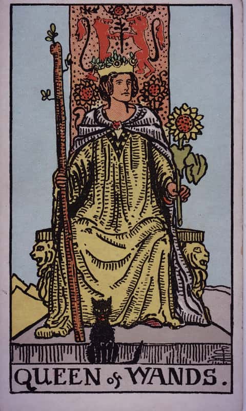 Queen of Wands tarot card, Rider Waite Smith deck