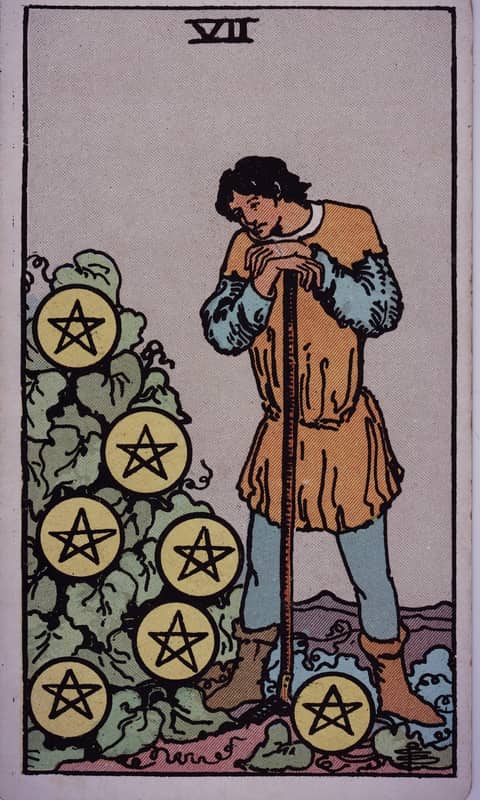 Seven of Pentacles tarot card, Rider Waite Smith deck